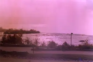 Aqueous Ecology: Niagara