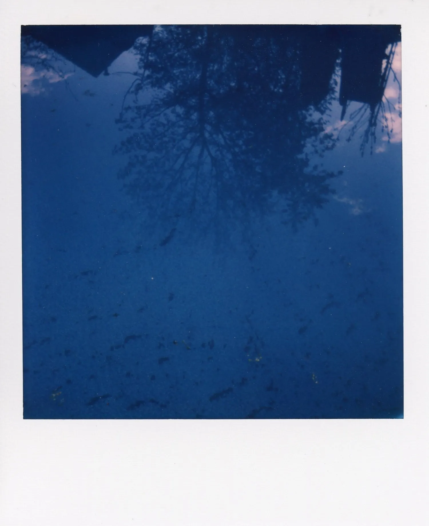 Polaroids 37