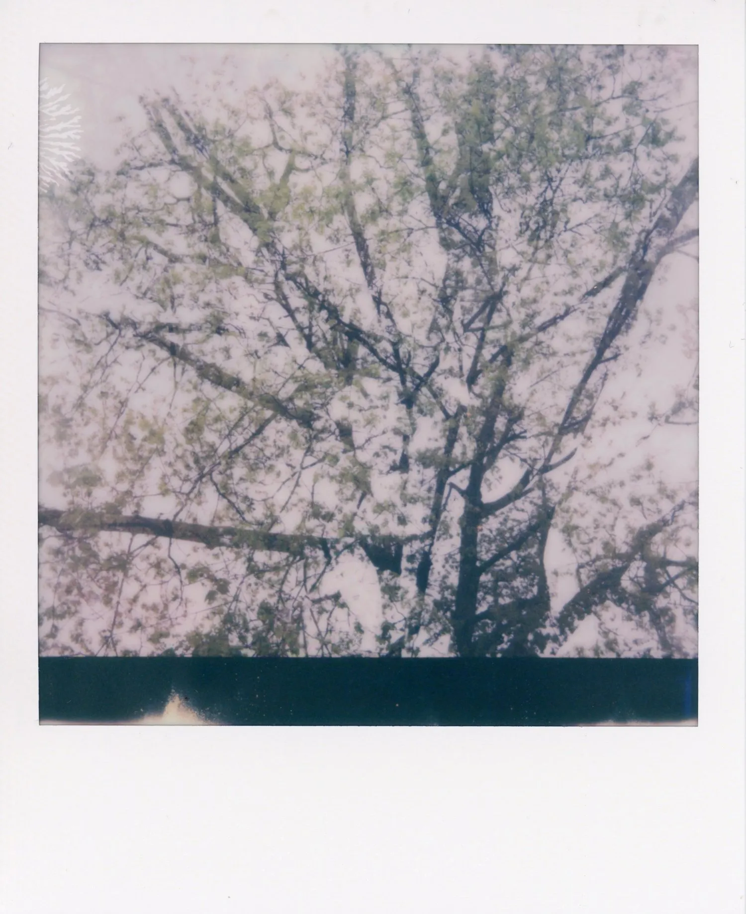 Polaroids 64