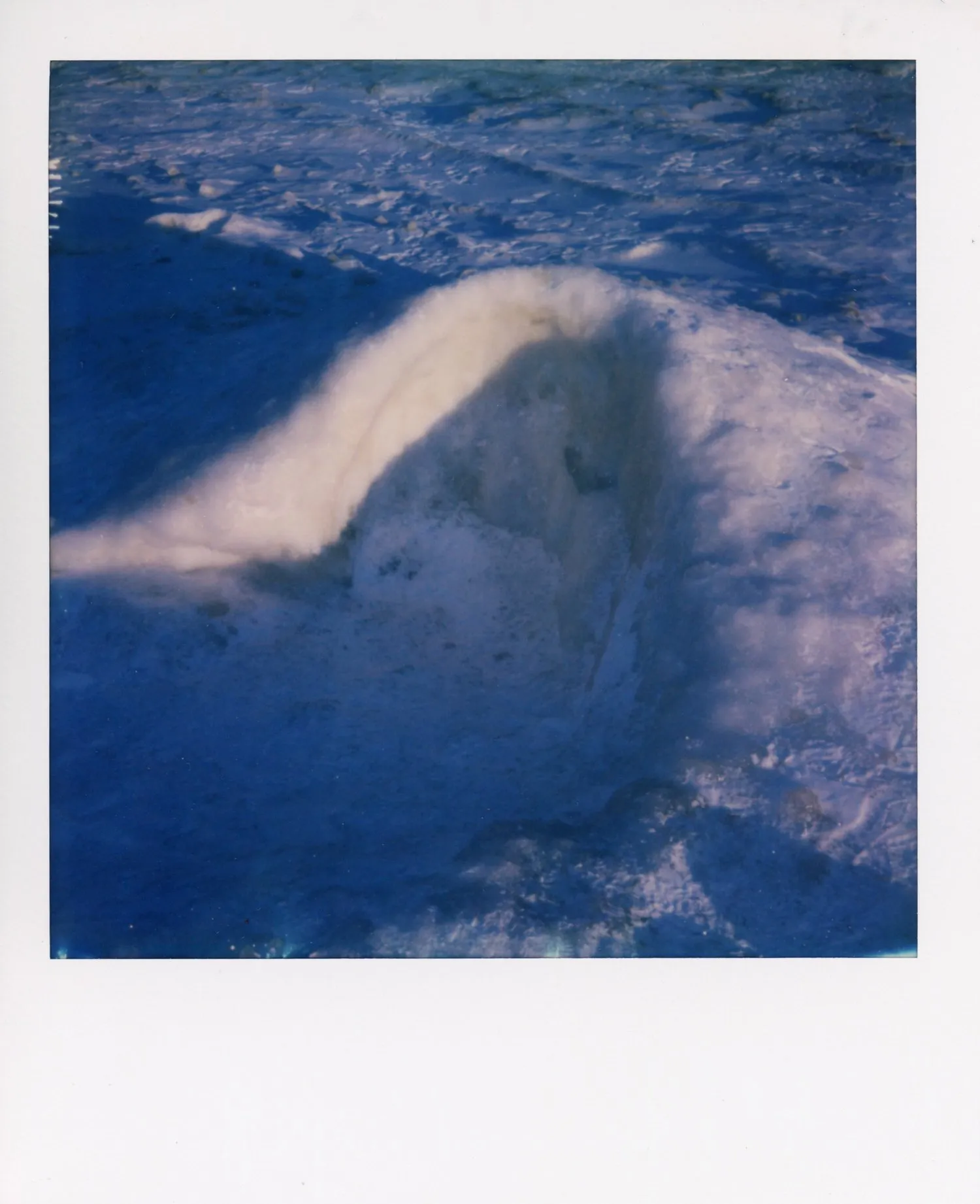 Polaroids 68